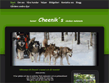 Tablet Screenshot of cheeniks.com